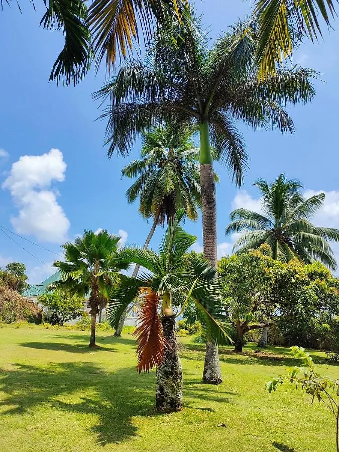 Villa Luana Yuna Au Cap