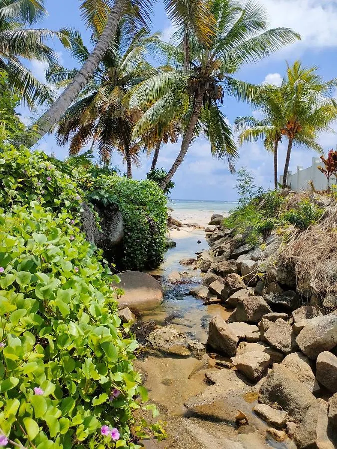 Villa Luana Yuna Au Cap